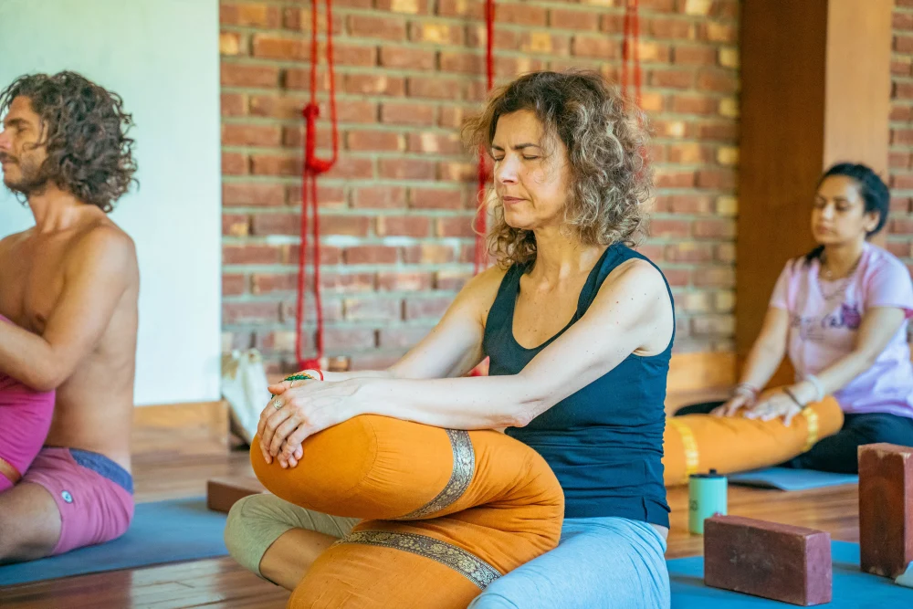 Meridian Theory & Mudra Class for Yin Yoga in Rishikesh