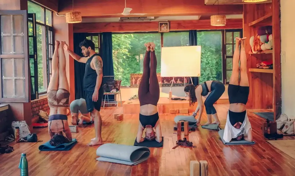 Yoga Teacher Training Course 